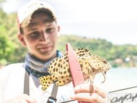 Пхукет: фото нескольких выездов