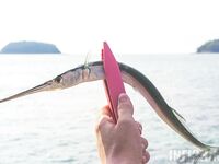 Пхукет: фото нескольких выездов