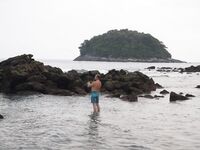 Ката и Карон, колебалки и SR минноу, сарган