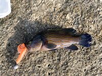 Karon пляж, прибой и сарган - береговой спиннинг