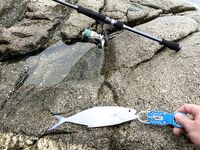 Karon пляж, прибой и сарган - береговой спиннинг