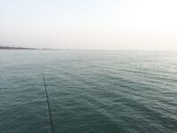 Рыбалка в Хуа Хине: центральный пирс