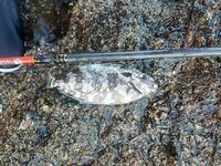 Пхукет, Карон: донка выручила