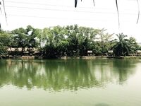 Пхукет, Раваи и платник: лодки, волна, монстры в пруду