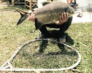 Пхукет, Раваи и платник: лодки, волна, монстры в пруду