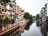 Бангкок, набережная канала: толстые трофеи подкармливают