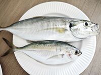 Ко Лан, Тайланд - дропшот с силиконом, дневная береговая ловля