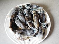 Ко Лан, Тайланд - пляжная спиннинговая ловля на воблеры и кальмара, груперы