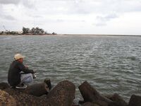 Порт Муйне: мелкий крючок, креветка, редкие сомики и толпа зрителей