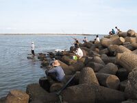 Порт Муйне: мелкий крючок, креветка, редкие сомики и толпа зрителей