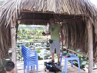 Муйне: тилапия в кафешке у дороги, темп 3 кг в час и соус