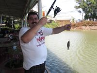 Муйне: тилапия в кафешке у дороги, темп 3 кг в час и соус