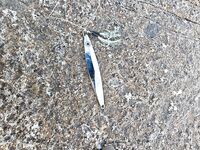 Рыбалка Ялонг Бей недалеко от Санья, Хайнань. Сети, волны и одна поклевка барракуды