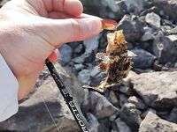 Пляж Парагон, Нячанг: микроджиг и колебалки по рифу с берега весь день