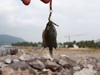 Пляж Парагон, Нячанг: микроджиг и колебалки по рифу с берега весь день