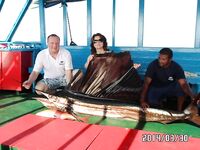 Мальдивы, конец марта 2014: короткая заметка о выезде, море, погода и фото