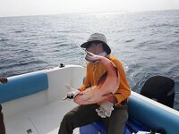 Остров Ханамуди: двенадцать видов, лишнее отпускали, ужин из свежака у повара