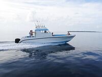 Остров Ханамуди: двенадцать видов, лишнее отпускали, ужин из свежака у повара