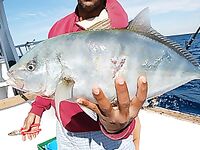 Красное море - Египет: троллинг, донка, кальмары и жизнь на яхте за 4 дня