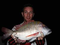 Морская рыбалка на Красном море, Египет: всё официально и доступно