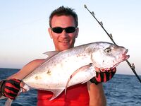 Морская рыбалка на Красном море, Египет: всё официально и доступно