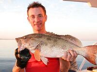 Морская рыбалка на Красном море, Египет: всё официально и доступно