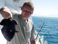 Морская рыбалка в Хургаде, берег и «русская рыбалка», донка и выводы