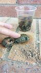 Морская рыбалка в Хургаде: берег без снастей, донка и местные наживки