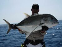 Морская рыбалка на рифе Святого Джона: неделя джига и поппинга на лайвборде