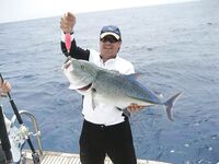 Морская рыбалка на рифе Святого Джона: неделя джига и поппинга на лайвборде