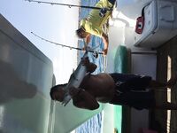 Морская рыбалка в Хургаде: троллинг днём и донка на рифах, ваху и псевдобалист