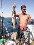 Морская рыбалка в Хургаде: троллинг днём и донка на рифах, ваху и псевдобалист