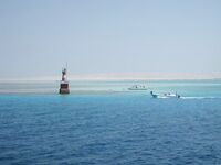 Хургада - бюджетный морской тур за 40$, рыбалка, рифы и полный улов