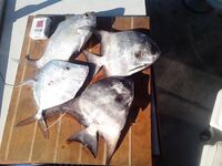 Варадеро, Куба: береговая донка и спиннинг, катер и местные советы