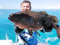 Куба, Тринидад - Сантьяго: маршрут, рыбалка и набор команды на март