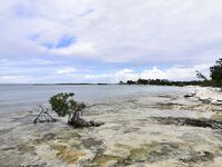 Варадеро, вечерний кастинг с пирса по барракуде и саргану