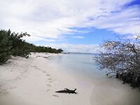 Варадеро, вечерний кастинг с пирса по барракуде и саргану