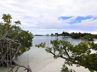 Варадеро, вечерний кастинг с пирса по барракуде и саргану