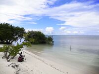 Варадеро, вечерний кастинг с пирса по барракуде и саргану