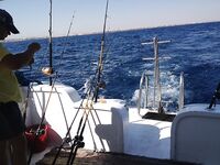 Хургада - банито на сашими, сход трофея и отличный день в море