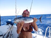 Хургада - банито на сашими, сход трофея и отличный день в море