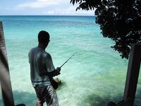 Пука Бич, остров Боракай - дрейф с маской, тень и ноль трофеев