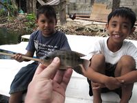 Боракай, D'mall - пруд с тиляпией, червь от ребят, карасики нон-стоп