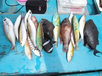 Пука Бич, Боракай - лодка, дрейф 10-15 м, коралловая мелочь и синниганг