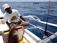 Сиаргао, Филиппины: слабый ход летучки, один ваху за 37 часов рыбалки