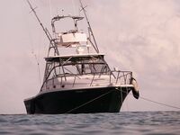 МОРСКАЯ РЫБАЛКА НА МАЛЬДИВАХ: декабрь, лодка Мишель, сафари 10 дней