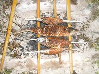 МОРСКАЯ РЫБАЛКА НА МАЛЬДИВАХ: декабрь, лодка Мишель, сафари 10 дней