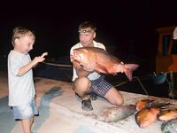 Морская рыбалка на Мальдивах: ночные выходы, троллинг и утренняя донка