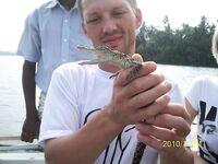 Архив фото по рыбалке на Шри-Ланке: 2007, 2010, 2024