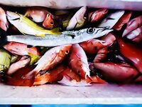 МОРСКАЯ РЫБАЛКА НА МАЛЬДИВАХ: BIG GAME, джиг и поппинг в начале июня